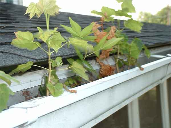 residential gutter replacement